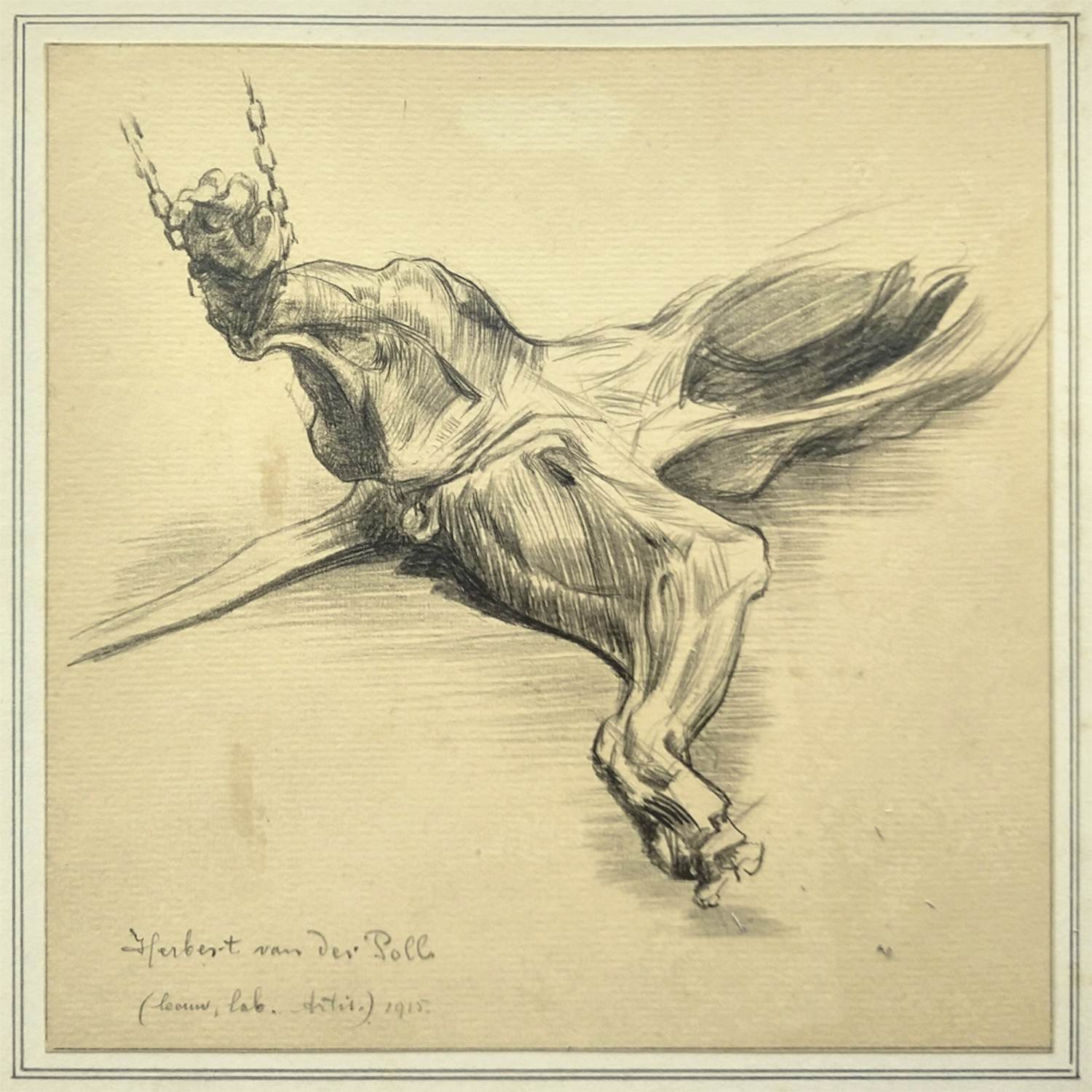 Herbert van der Poll - Leeuw, Artis (1915) kopen? Bied vanaf 40!