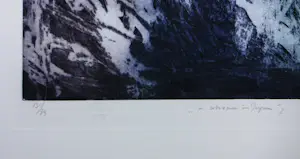 Ad Arma - Kleurenets, Dream in Japan I- Ingelijst (Groot) kopen? Bied vanaf 80!