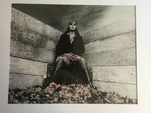 Jan Stijnman - De tulpenkoningin kopen? Bied vanaf 20!