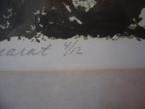 Antony van Lieshout - Litho. titel, "Baranco del Muscarat". kopen? Bied vanaf 30!