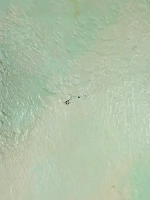 Rudi Polder - Olieverf op doek, Heuvel in Meyendaal - Ingelijst (Zeer groot) kopen? Bied vanaf 100!