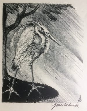 Jan Schonk - Lithografie Reiger kopen? Bied vanaf 35!