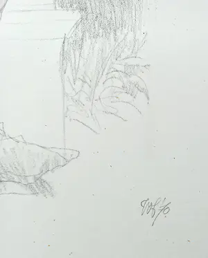 Peter Vos - Valkenier, litho kopen? Bied vanaf 150!