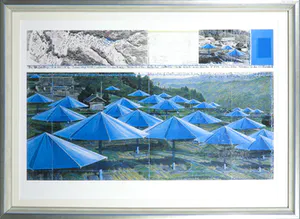 Christo - Handgesigneerd exemplaar The Umbrella's met stofmonster - Ingelijst kopen? Bied vanaf 1!