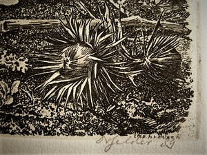 Dirk van Gelder - Meester graficus - HERFST - spin, denneappels etc- oplage 75 - potloodgesignrd kopen? Bied vanaf 52!