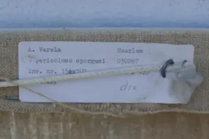 Arthur Varela - '' E Pericoloso Sporgersi '' kopen? Bied vanaf 95!