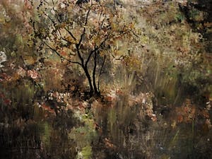 Paul van der Ven - Groot olieverf op doek "Herfstlandschap met meanderend riviertje" gesigneerd kopen? Bied vanaf 30!