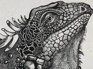 Theo van Hoytema - Leguaan, zittend op een steen in het water kopen? Bied vanaf 40!