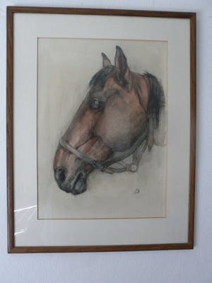 Tini van Doornik - Pastel/Krijt. Paardenhoofd. kopen? Bied vanaf 15!