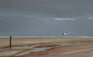 Franklin Meijer - Texel - Strand vuurtoren de Cocksdorp kopen? Bied vanaf 95!