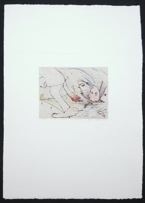 Henk Visch - Handgekleurde ets, Voortgang in doorzichtigheid nr. 8 kopen? Bied vanaf 40!