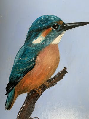 Henk Poeder - Ijsvogel kopen? Bied vanaf 89!