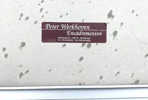 Maurice Grothausen - DE IMPRESSIE VAN MIJN REIZEN OVER DE HELE WERELD kopen? Bied vanaf 100!