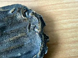 Harrie Lenferink - Prachtige bronzen hanger met originele ketting. kopen? Bied vanaf 125!