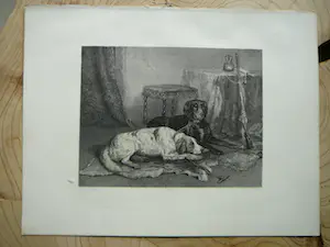 Adolf Carel Nunnink - Jachthonden kaufen? Bieten Sie von 20!