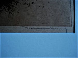Martin van Waning - Mooie grote Droge Naald Ets - Landschap met molen Schiermonnikoog - gesigneerd kopen? Bied vanaf 39!