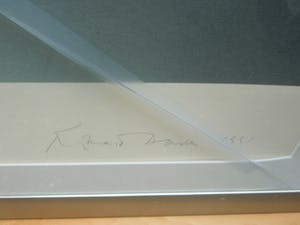 Richard Thomas Davis - 3 zeldzame zeefdrukken met verschillende titels kopen? Bied vanaf 84!