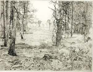 Charles Donker - Bos XX verkocht voor € 65!