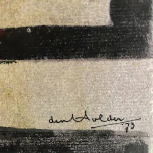 Joop den Holder - Jonge vogel kopen? Bied vanaf 125!