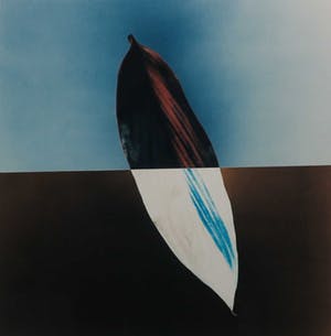 Jean Ruiter - Foto, Blad - Ingelijst kopen? Bied vanaf 35!