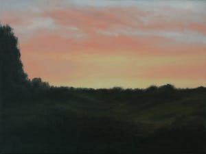 Peter Heij - Lostland XIV kopen? Bied vanaf 95!