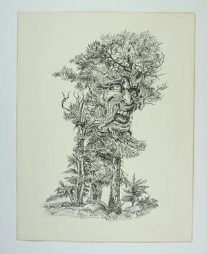 Jan Schouten - Bomen zetels der demonen - pentekening - 1974 kopen? Bied vanaf 75!
