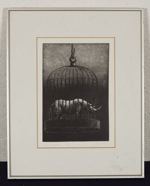 Jan A.M.J. Hurx - Neushoorn in kooi - 1/8 - 1977 - ets en aquatint op papier kopen? Bied vanaf 20!