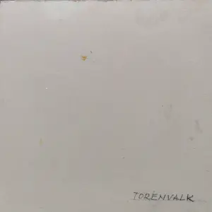 Jan Schaeffer - Torenvalk kopen? Bied vanaf 30!