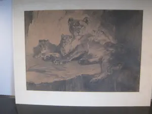 Cornelis Jan Mension - Leeuwin met welpen. kopen? Bied vanaf 30!