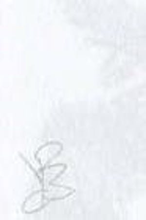 Niet of onleesbaar gesigneerd - Gesigneerde Tekening - "The Free" - 2015 kopen? Bied vanaf 10!