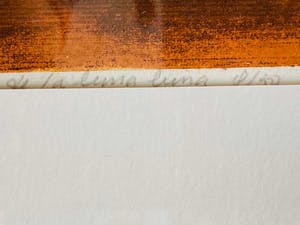 Ru van Rossem - Romana, da luna - Ingelijst wp kopen? Bied vanaf 185!