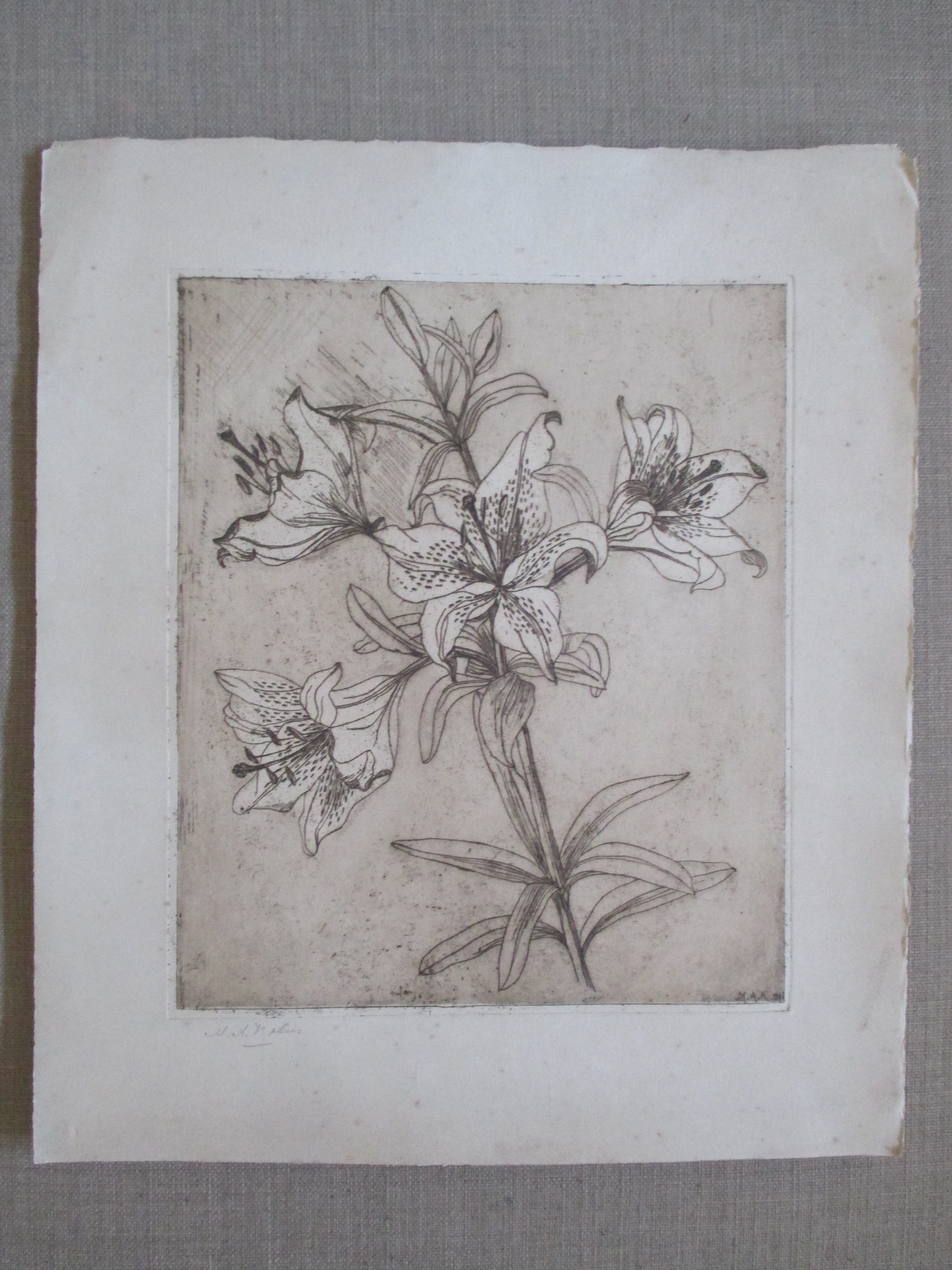 Niet of onleesbaar gesigneerd - Ets bloem kopen? Bied vanaf 1!