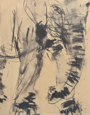 Nico Molenkamp - ‘Olifant’ - tekening - 1957 kopen? Bied vanaf 175!