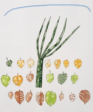 Harrie Gerritz - Kleine herfst, aquatint ets kopen? Bied vanaf 60!