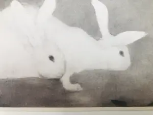 Jan Mankes - Originele Heliogravure 2 Konijntjes 1923 kopen? Bied vanaf 120!