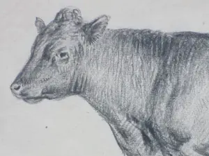 Frans Lebret - Stier - tekening kopen? Bied vanaf 45!