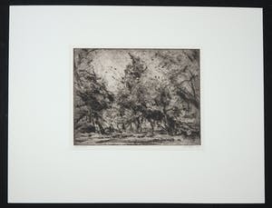 Wim Steijn - Ets, Landschap kopen? Bied vanaf 1!