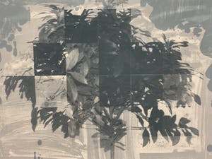 Joseph Cals - litho en zeefdruk - 'Hommage aan Graham Sutherland' -1980 (Prent 190) serie 12A kopen? Bied vanaf 50!