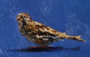 Gerard Prent - Olieverf op doek, Mus kopen? Bied vanaf 800!