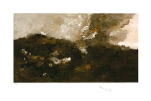 Armando - Heuvellandschap kopen? Bied vanaf 139!