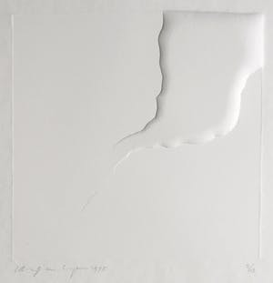 Harry van Kuyk - Reliëfdruk, Zonder titel kopen? Bied vanaf 100!