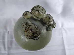 Iet Cool-Schoorl - Bolvorm met paddestoelen kopen? Bied vanaf 120!