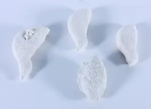 Kathja Smits - Porselein, Vogeltjes kopen? Bied vanaf 100!