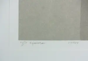 Fon Klement - Boardsnede op papier, Icarus - Ingelijst kopen? Bied vanaf 90!