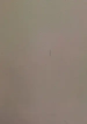 Henk van den Berg - Olieverf op doek, Zonder titel - Ingelijst (Zeer groot) kopen? Bied vanaf 750!