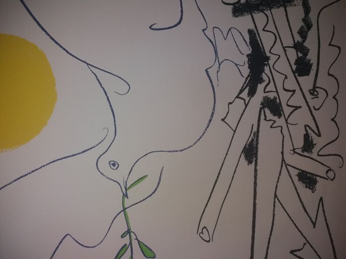 Pablo Picasso - Pablo Picasso  kopen? Bied vanaf 150!