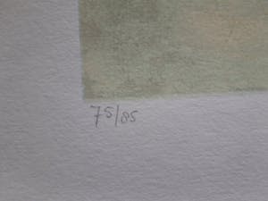 Nicole Schaap - COUCHER DU SOLEIL kopen? Bied vanaf 45!