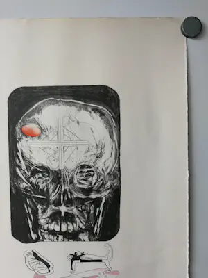 Hugo Claus - Doodshoofd. kopen? Bied vanaf 99!