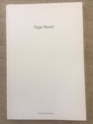 Roger Raveel - litho, mooi gelijst + catalogus kopen? Bied vanaf 399!