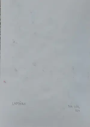 Daan Lemaire - Abstracte gouache uit 2020 - no. 1162 kopen? Bied vanaf 15!